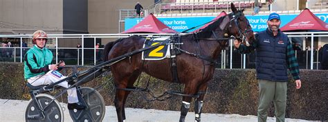 hrnz race results|Harness Racing New Zealand.